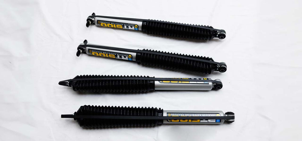 AEV shock absorber