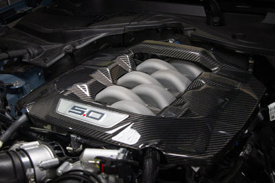APR Performance carbon auto part