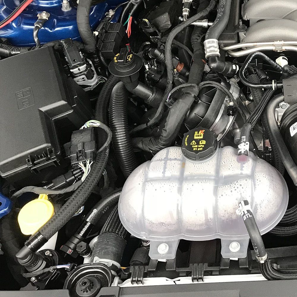 ~(5 lbs. 14X8X6)~ 18 Mustang GT SV W/CSS - Black