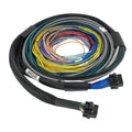 Haltech auto part