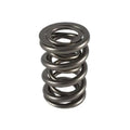 PAC RACING SPRINGS springs