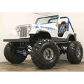 S/SWAMP Q78-15