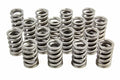 PAC RACING SPRINGS springs