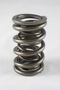 PAC RACING SPRINGS springs