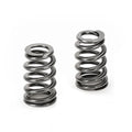 Supertech Ford Modular 4.6L Beehive Single Spring (Use w/ OEM Retainer) - Set of 32