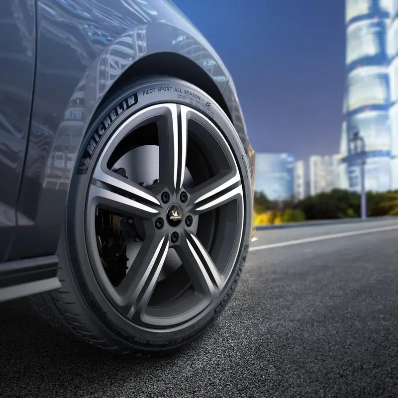 Michelin Pilot Sport A/S 4 255/55R20/XL 110V
