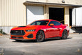 Sport Suspension Spring KIt 15-21 Mustang