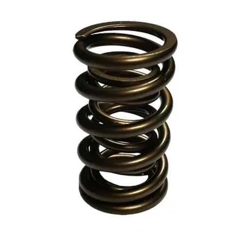 1.550 Dual Valve Springs (16)