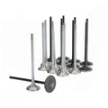Skunk2 Honda K20C1 Alpha Series Intake & Exhaust Valve Set (Standard Compression)