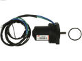 TRIM MOTOR