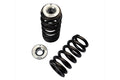 Brian Crower titanium springs