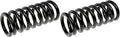 COIL SPRINGS