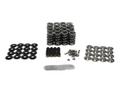 Platinum LT1 Dual Spring Kit .660in Lift Gen V