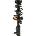 ROADMATIC STRUT ASSEMBLY