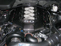 CF Eng Cover 5.0 Ford/Mus