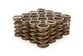 PAC RACING SPRINGS springs