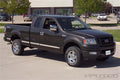 SIDEMOLDING F150 8' 04-07