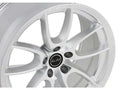 2015+ MUST 21STYLED 19X11CHPO