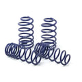 H R Springs Race Spring Kit
