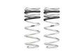 Eibach springs