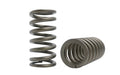 Kelford Toyota Altezza Beams engine Valve Spring Set