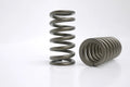 Kelford Toyota Altezza Beams engine Valve Spring Set