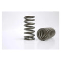 Kelford Toyota Altezza Beams engine Valve Spring Set