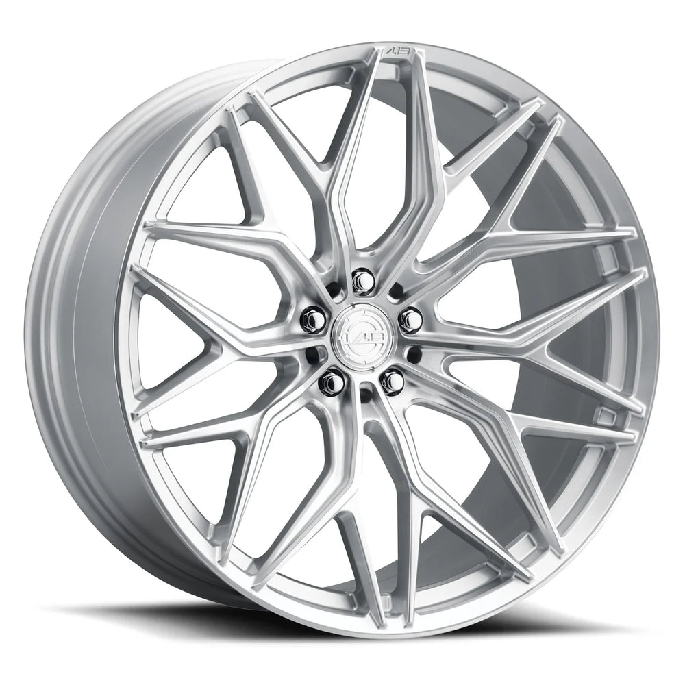 AL13 - 290BBBCCFR80MS-P1