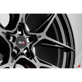 SAVINI - SVF05-20090000B0557