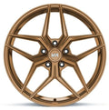 Variant auto part