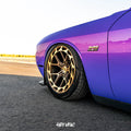 Rohana - RFX1919855112BZ42