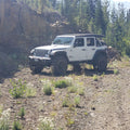 Black Rhino - BR-1895ABR-85127B71