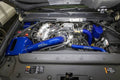 Wehrli intake system