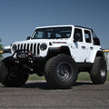 Black Rhino - BR-1895ARY-80035D78