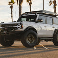Black Rhino - BR-BR004MX17906812N