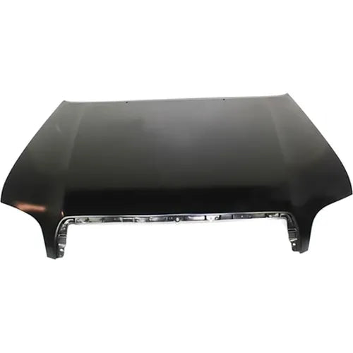 CAPA HOOD PANEL ASSY ALL TOYOTA SEQUOIA 0107