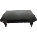 CAPA HOOD PANEL ASSY ALL TOYOTA SEQUOIA 0107