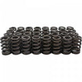 Hamilton Cams 6.7l SCORPION HD Springs PP-6.7S-VS