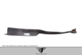 2012-2018 BMW 3 Series F30 M Sport Carbon AF-1 Front Add On Lip Under Spoiler ( CFP ) - 1 Piece