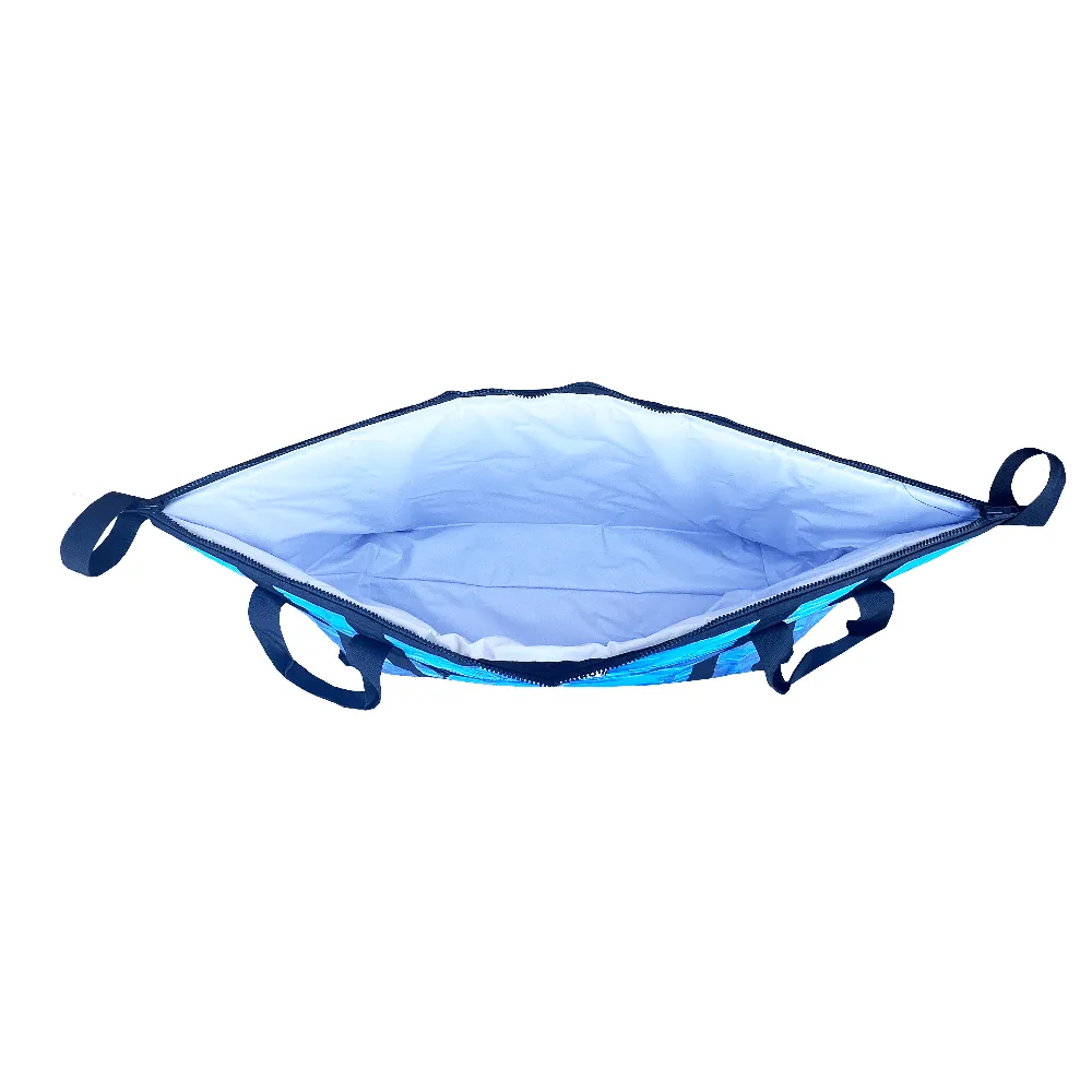 AO COOLERS blue auto part