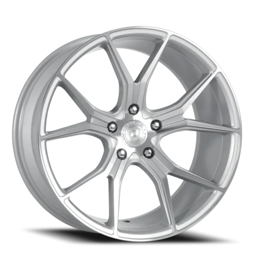 Dolce - ELEMENT-99554GSF