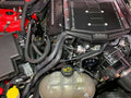 UPR 18-19 Mustang 5.0 Edelbrock SC Dual Can - Black 5030-248-1-CSCC