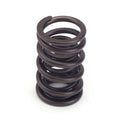 Valve Springs - 604 Crate Engine