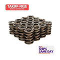 Valve Springs - Dual 1.500