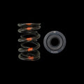 Valve Springs - Dual 1.500
