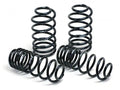 H&R 02-03 Audi S6 (AWD) Sport Spring