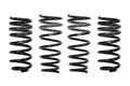 Eibach springs detail