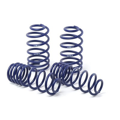 H&R springs