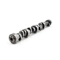 True Roller Timing Set - AMC