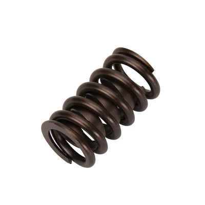 Valve Springs